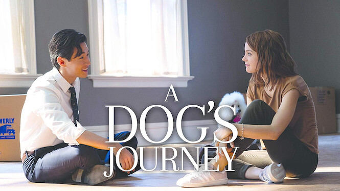 A Dog's Journey